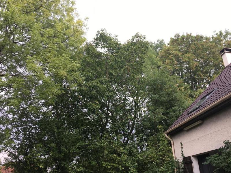 Terrain constructible - 713 m²