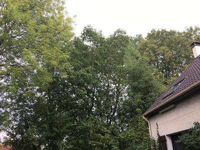 Terrain constructible - 713 m²