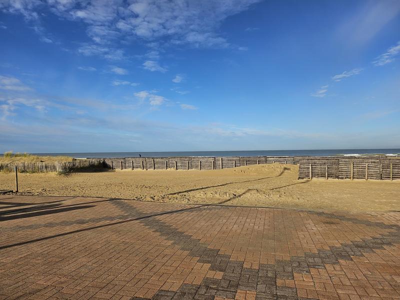 Appartement - 49 m² - 1 pièce