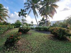 Studio - 33 m² - 1 pièce