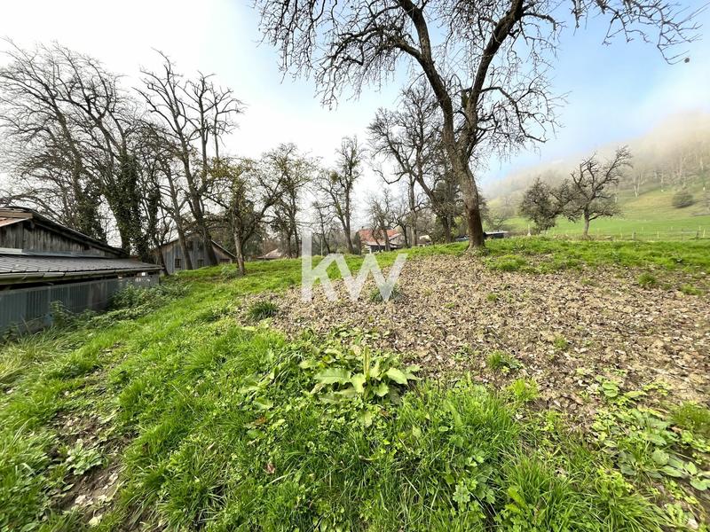 Grange - 128 m² - 1 pièce