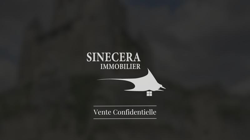 Château - 1 200 m² - 28 pièces