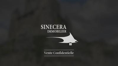 Château - 1 200 m² - 28 pièces