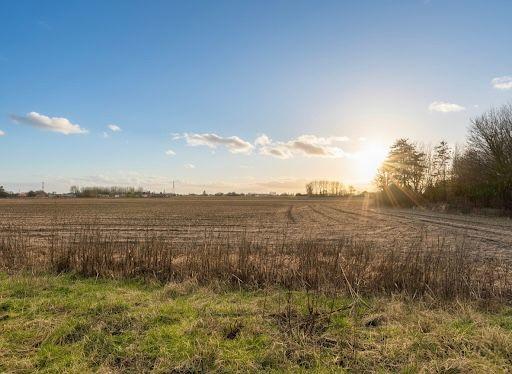 Terrain constructible - 1 137 m²