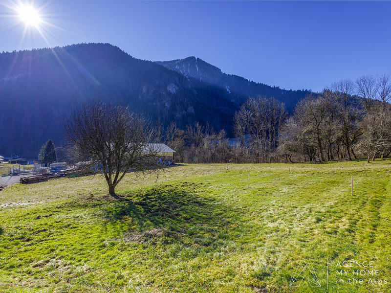 Terrain - 738 m²