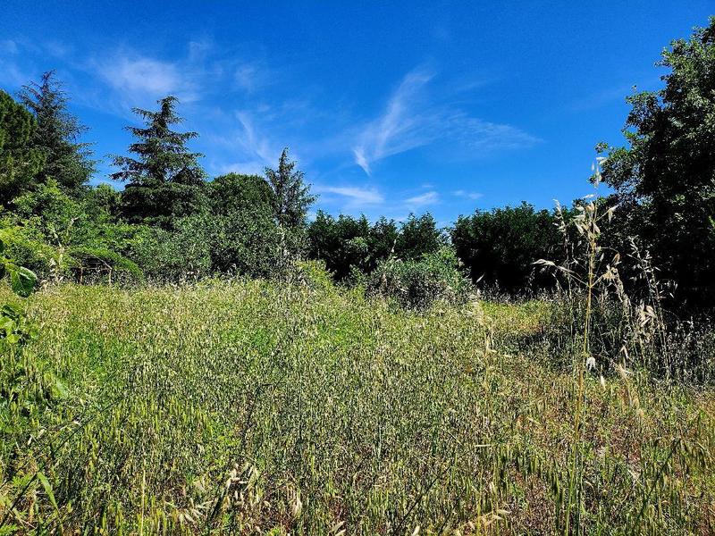 Terrain constructible - 1 490 m²