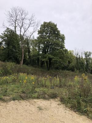 Terrain constructible - 1 011 m²