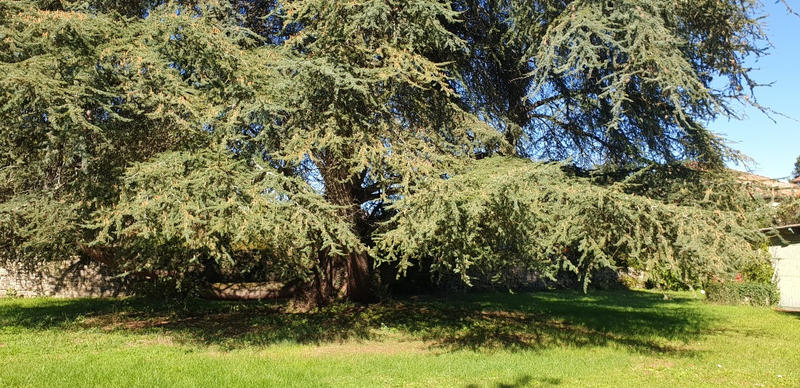 Maison - 250 m² - 6 pièces