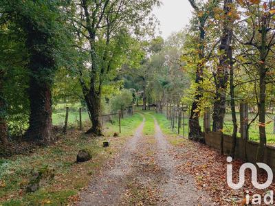 Maison de campagne - 211 m² - 5 pièces