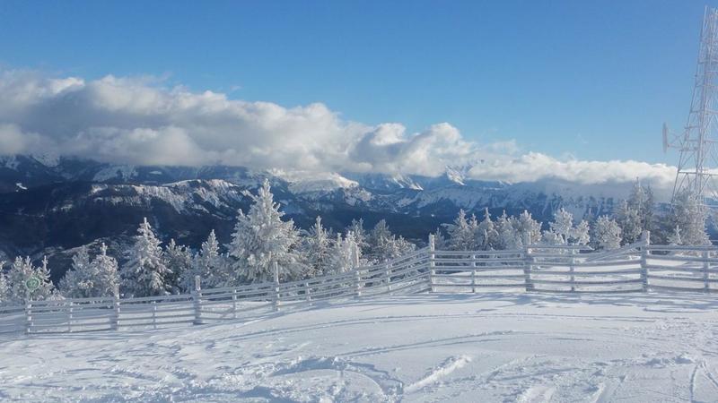 Studio - 26 m² - 1 pièce