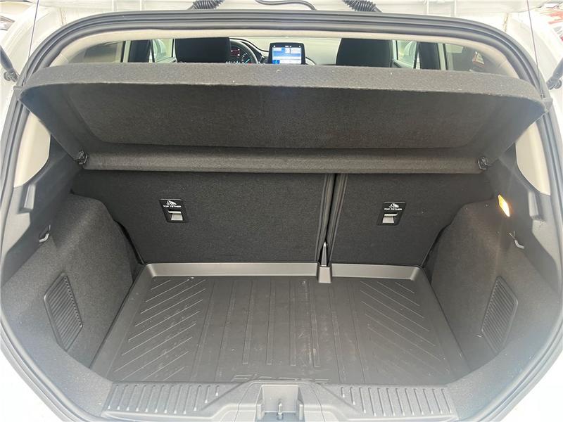 Ford Fiesta VII 1.0 Flexifuel 95 Ch s&amp;S Bvm6 Titanium Business