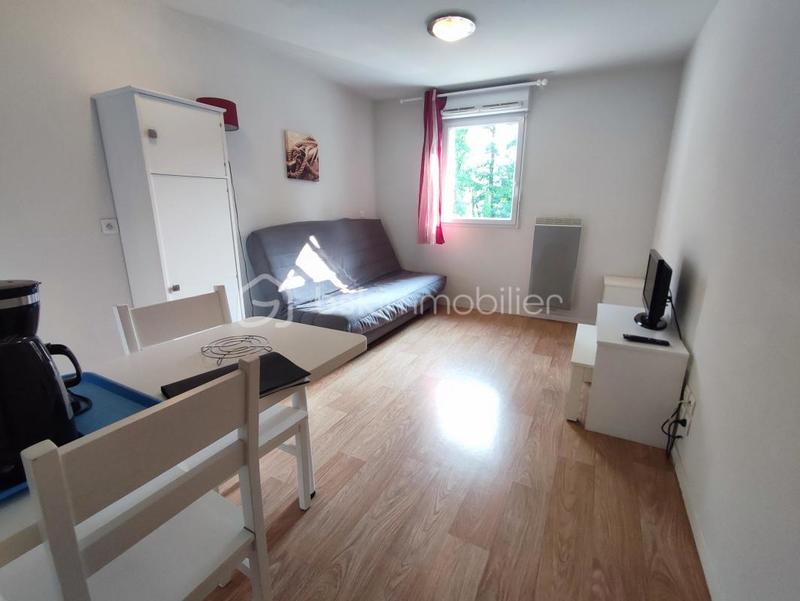 Studio - 20 m² - 1 pièce