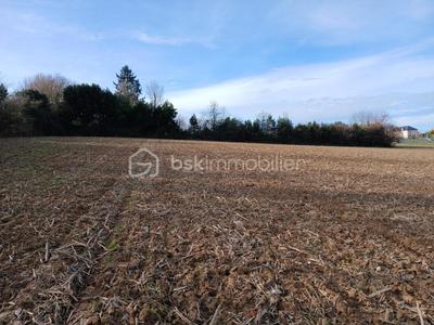 Terrain - 7 151 m²