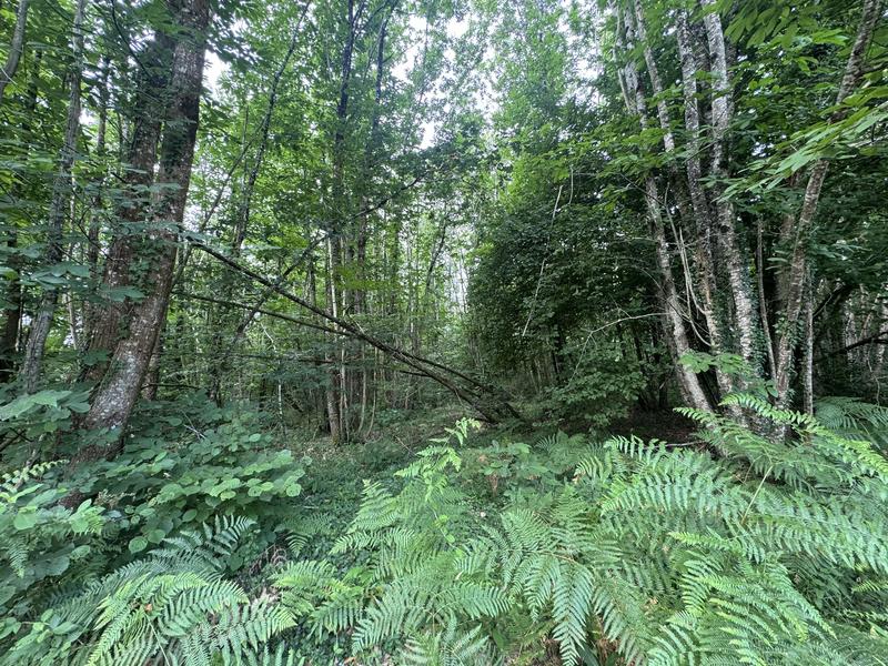 Terrain - 141 093 m²