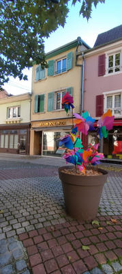 Local commercial - 80 m²