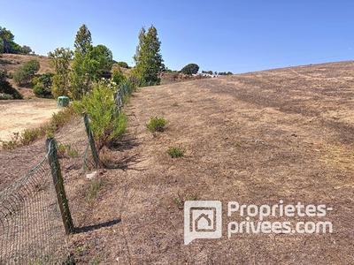 Terrain constructible - 5 000 m²