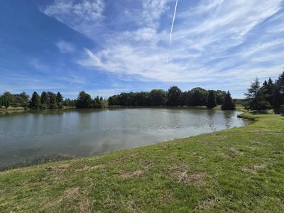 Étang - 43 885 m²
