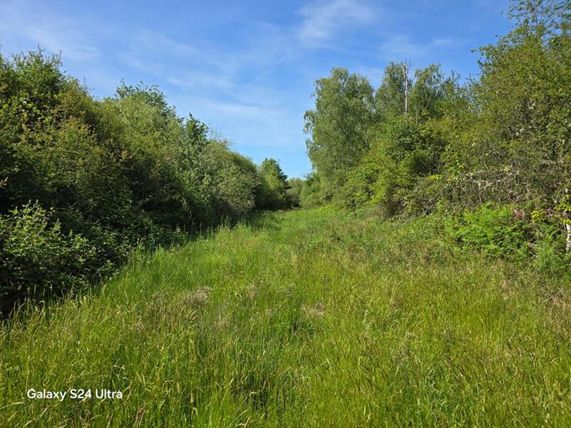 Terrain - 231 782 m²