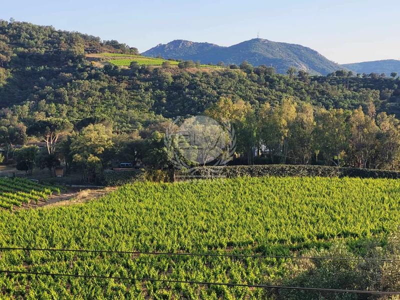 Viager - Maison - 3 pièces