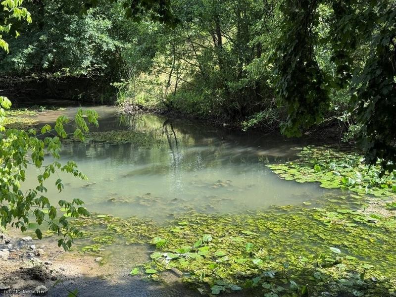 Propriété - 134 m² - 10 pièces