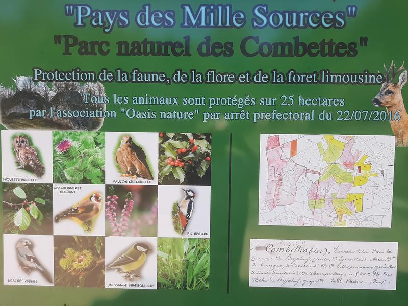 Melissa Miel, visite gratuite chez un apiculteur