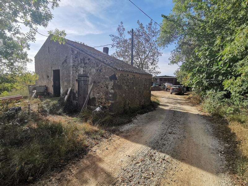 Terrain agricole - 53 000 m²