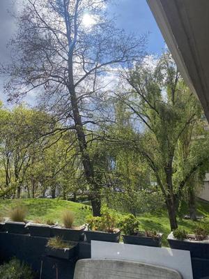 Studio - 33 m² - 1 pièce