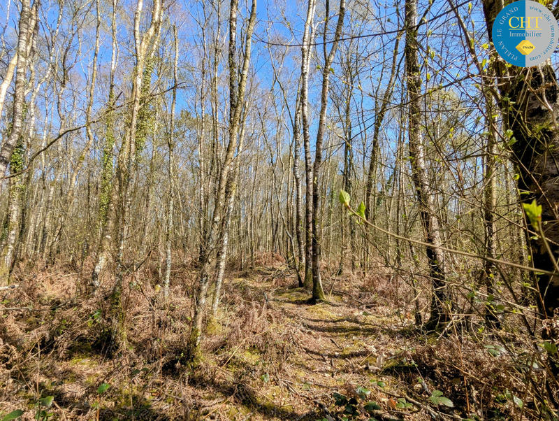 Terrain - 24 900 m²