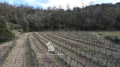 Terrain agricole - 2 116 m²