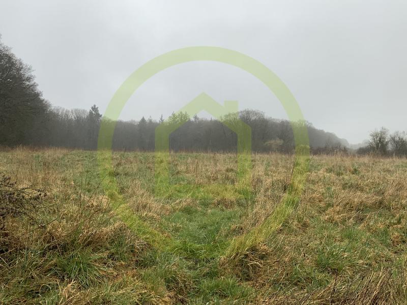 Terrain - 199 600 m²