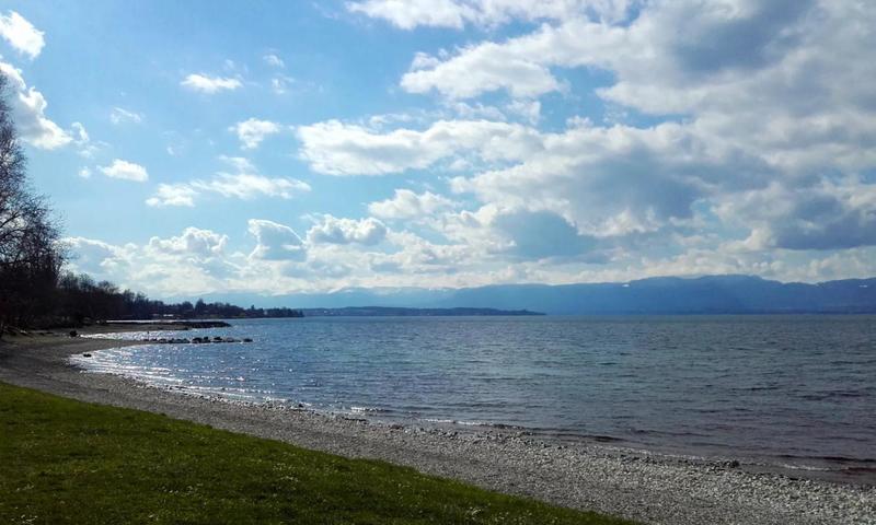 Appartement - 90 m² - 3 pièces