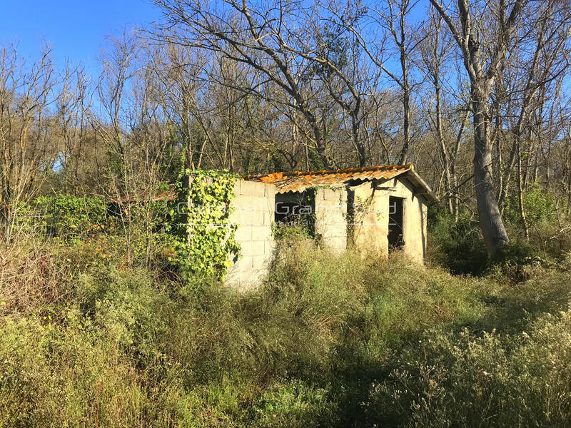 Terrain de loisirs - 1 488 m²