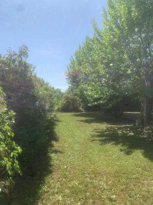 Propriété - 275 m² - 8 pièces