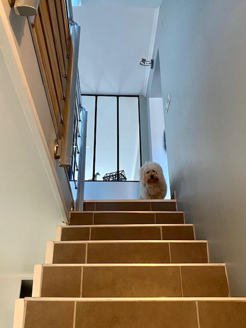 Maison - 178 m² - 6 pièces