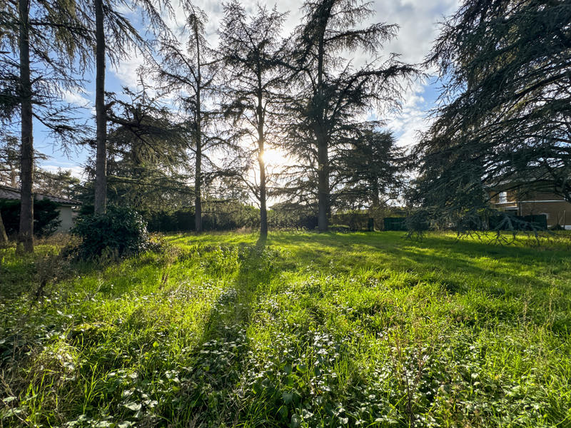 Terrain - 700 m²