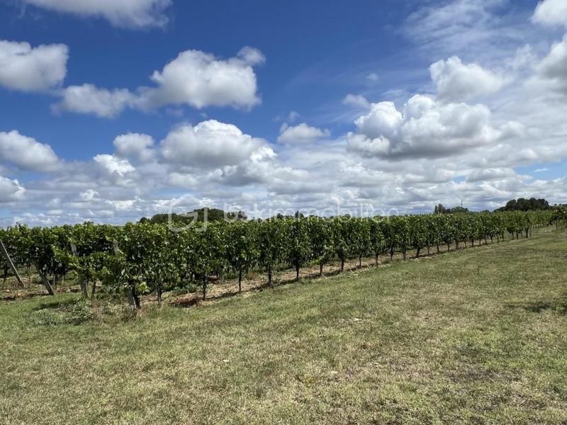 Terrain - 237 900 m²