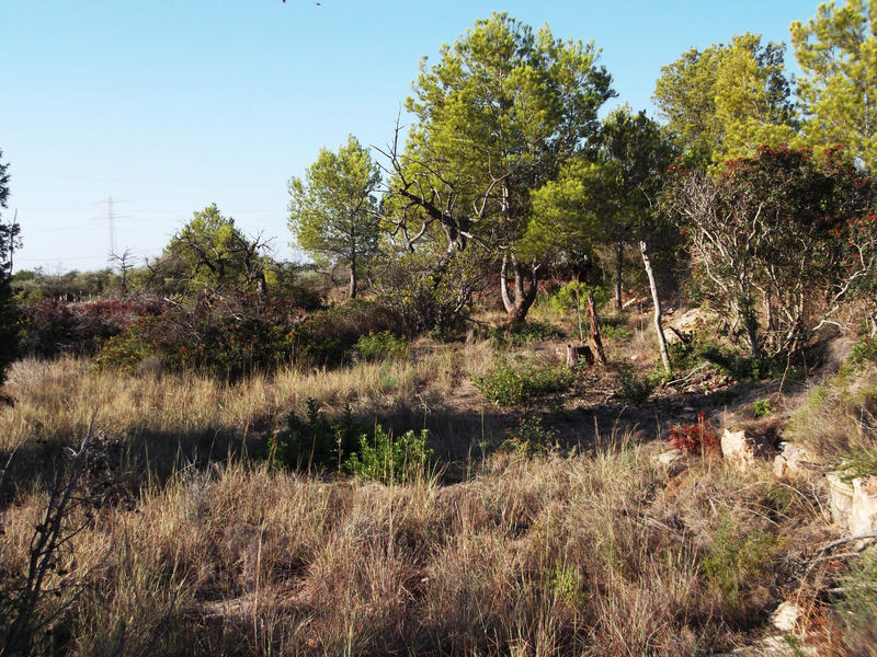 Terrain - 16 000 m²