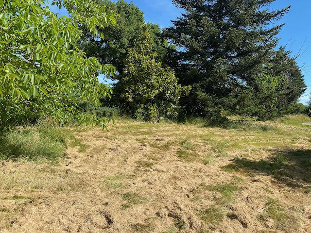 Terrain de loisirs - 4 917 m²