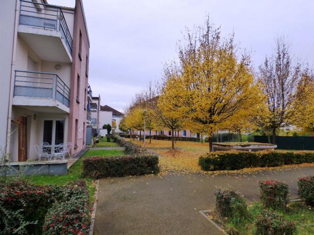 Appartement - 54 m² - 3 pièces