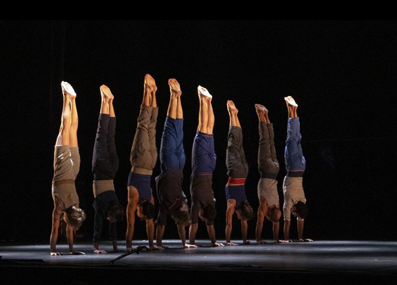 Le complexe de l'autruche