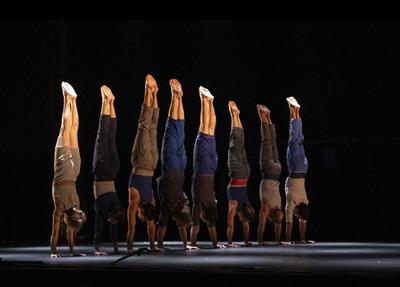 Le complexe de l'autruche