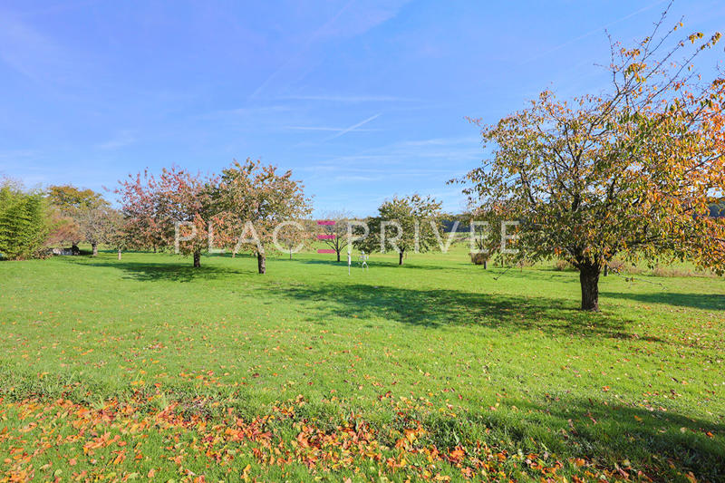 Maison - 300 m² - 12 pièces