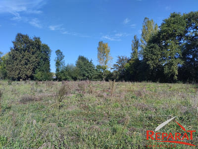 Terrain - 1 650 m²