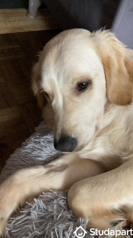 Chambre - 12 m² - 1 pièce