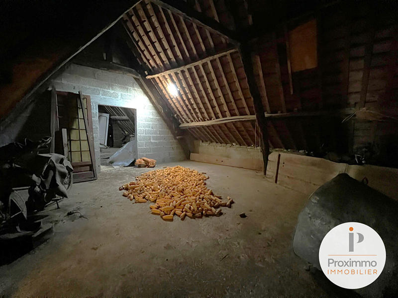 Maison - 340 m² - 13 pièces