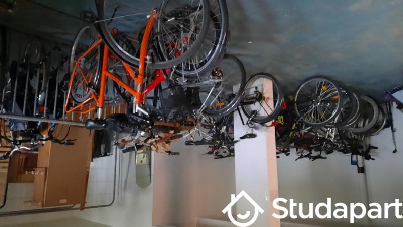 Chambre - 11 m² - 1 pièce