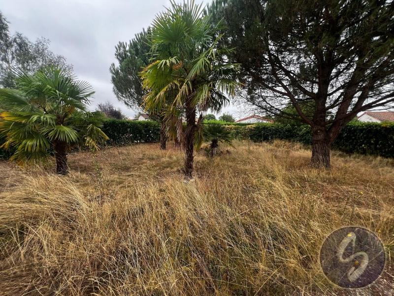 Maison - 71 m² - 3 pièces