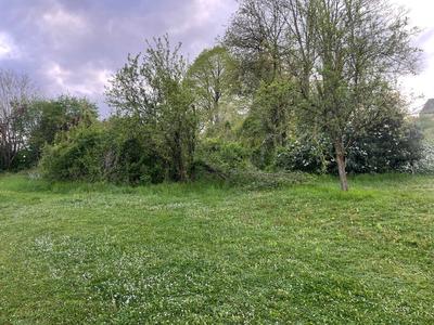 Terrain constructible - 1 991 m²