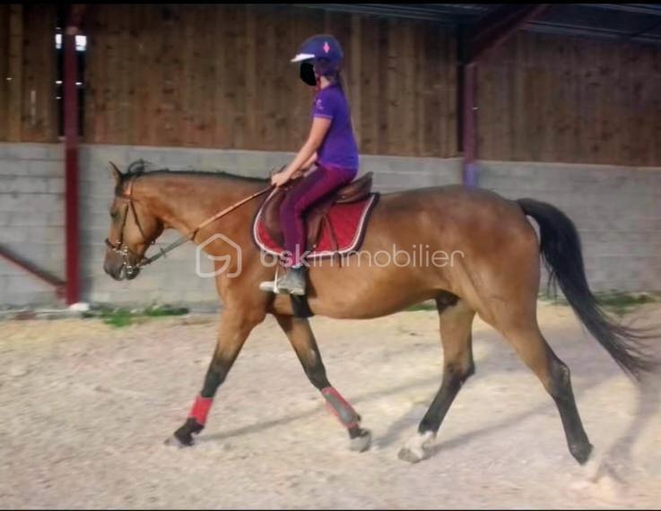 Maison de domaine équestre - 2 112 m² - 1 pièce