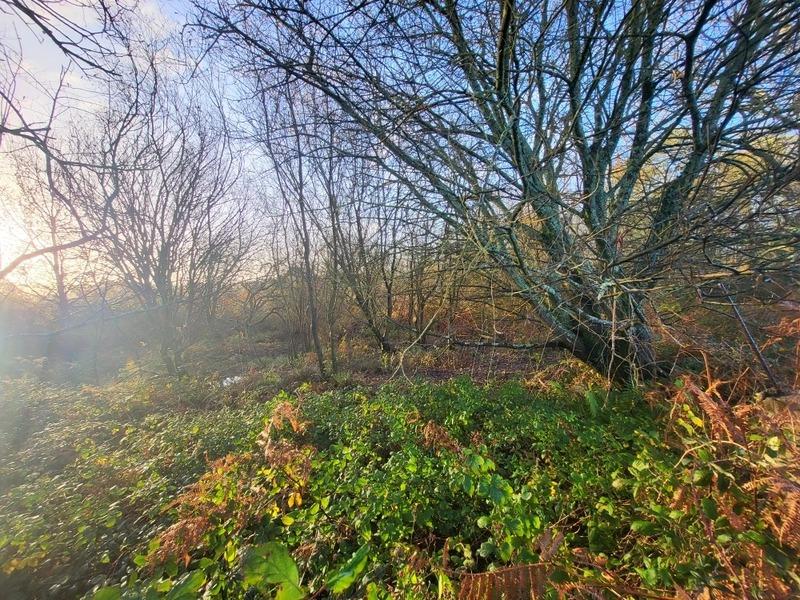 Terrain - 62 680 m²